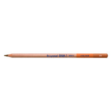 Bruynzeel Design Colour Burnt Ochre Kalem