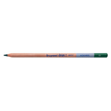 Bruynzeel Design Aquarel Dark Green Kalem