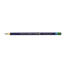Derwent Inktense Hookers Green Kalem
