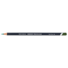 Derwent Procolour Sap Green