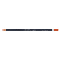 Derwent Procolour Autumn Leaf Kalem