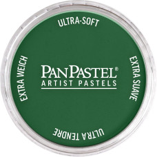 PanPastel Permanent Green Extra Dark 640.1