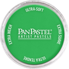 PanPastel Permanent Green 640.5