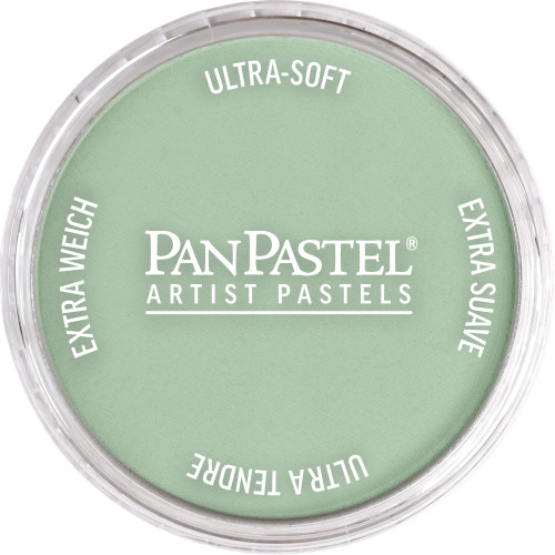 PanPastel Chromium Oxide Green Tint 660.8