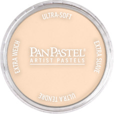 Pan Pastel Burnt Sienna Tint 740.8