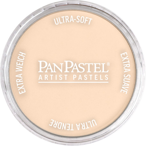 Pan Pastel Burnt Sienna Tint 740.8
