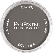 PanPastel Neutral Gray Shade 820.3