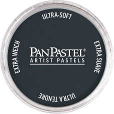 Pan Pastel Payne's Gray Extra Dark 840.1