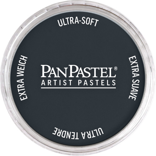 Pan Pastel Payne's Gray Extra Dark 840.1