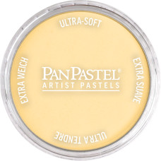 Pan Pastel Light Gold 910.5