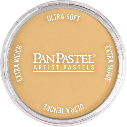 Pan Pastel Rich Gold 911.5