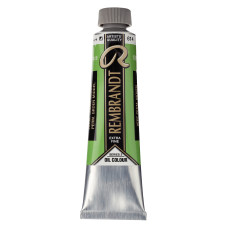 Royal Talens Rembrandt Yağlı Boya 40 ml Permanent Green Medium 614