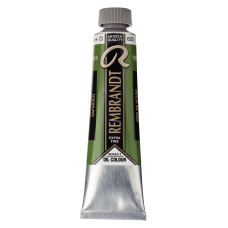 Royal Talens Rembrandt Yağlı Boya 40 ml Sap Green 623