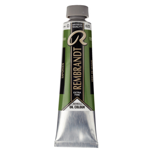 Royal Talens Rembrandt Yağlı Boya 40 ml Sap Green 623