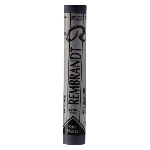 Royal Talens Rembrandt Soft Pastel Mouse Grey 707.7