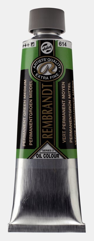 Rembrandt 150 ML Yağlı Boya Permanent Green Medium — Rembrandt